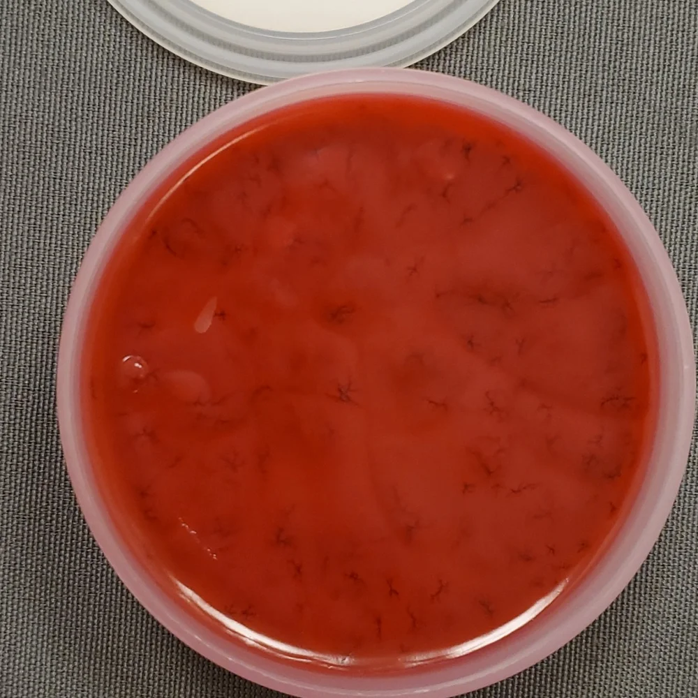 EXTREME  Gold Canyon‎ scent pod 2.4 oz